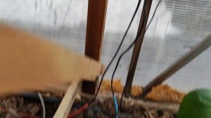 Греющий кабель в теплицу (long version)