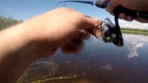 Рыбалка в Сургуте - Тундрино