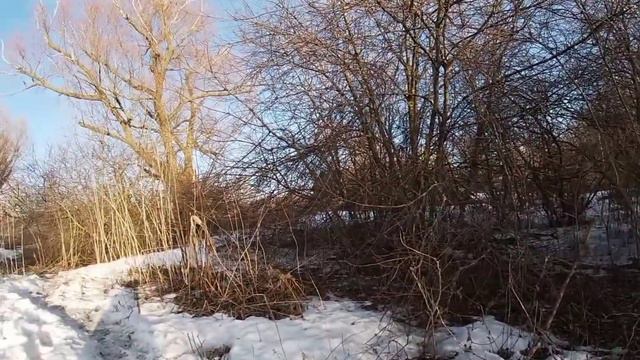 Открытие весенний охоты на гуся!! смотреть онлайн