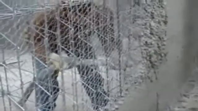 Укладка бетона в каркас смотреть онлайн