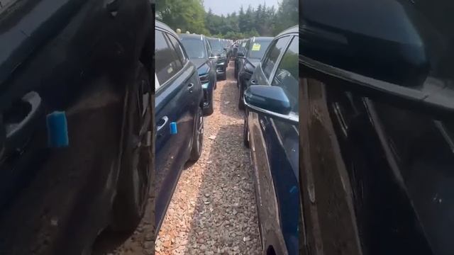 GELLY MONJARO ОПТОМ #доставкамашинизкитая #авто #машины