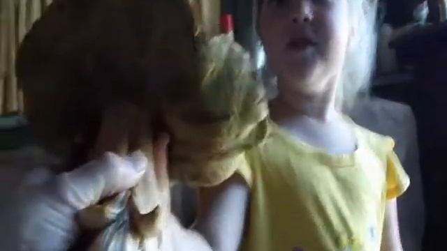 очень большой белый гриб.wmv смотреть онлайн