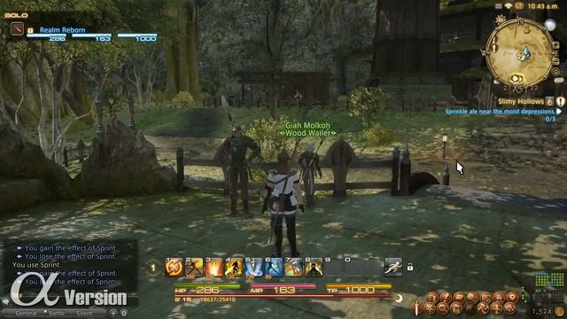 inGamer.cz | FINAL FANTASY XIV: A Realm Reborn - Quests and Combat (Alpha Gameplay) смотреть онлайн