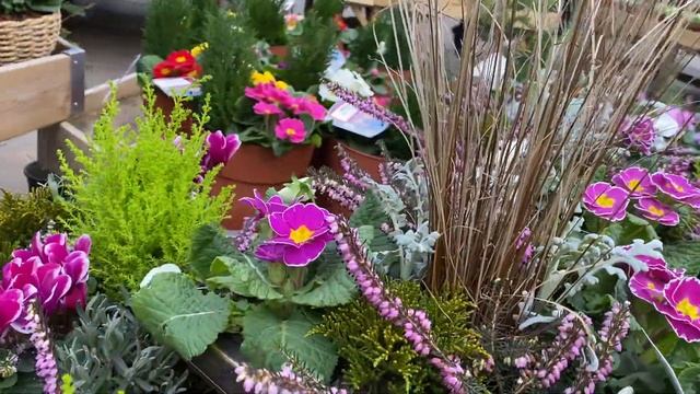 Цветочные Композиции в кашпо, горшках , балконных ящиках для Весеннего Сада! . Spring Planter Ideas смотреть онлайн