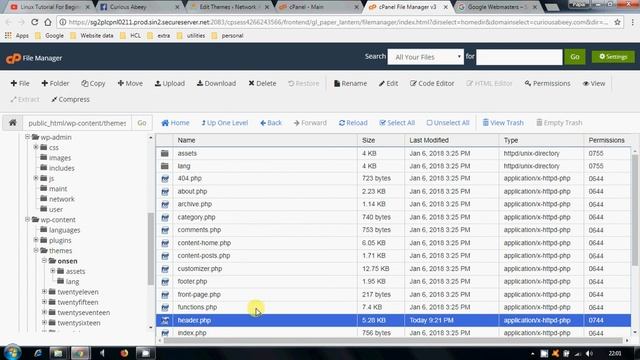 Not able to add meta tag into WordPress theme header.php file смотреть онлайн