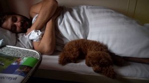 24 ЧАСА В ПОЕЗДЕ С СОБАКОЙ!