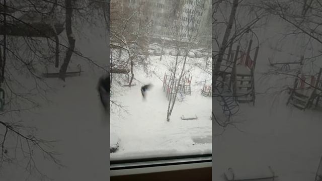Песня, не улетающих в теплые края птиц))) смотреть онлайн