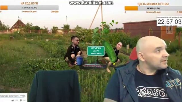 ЖЕСТЬ НА СТРИМЕ НАПАЛА САБАКА! ЩАДИЛО СТРЕЛЯЕТ В СОБАКУ! МОПС ПЛАЧЕТ! смотреть онлайн