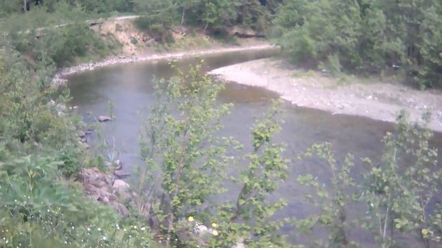 Макаровский район село Поречье лесное смотреть онлайн