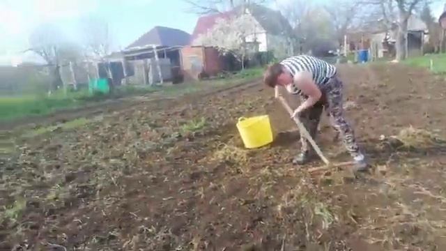 Корни пырея 11.04.2019г. смотреть онлайн