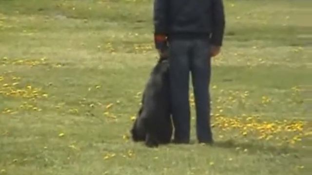 Буряк С. и вео Демон смотреть онлайн