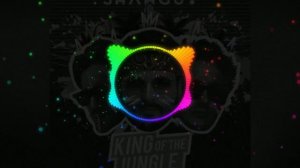 SHANGUY - King Of The Jungle