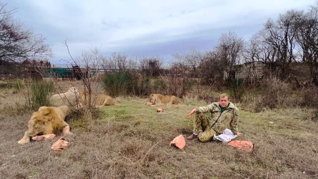 КРИТИЧЕСКАЯ СИТУАЦИЯ в крымском зоопарке! смотреть онлайн