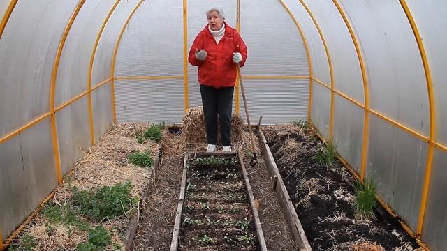 119 Капуста рассада Кормить и окучивать смотреть онлайн