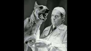 Советский двуглавый Орф (эксперимент Владимира Демихова)