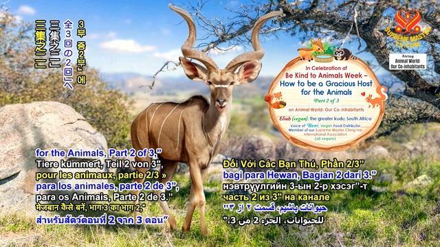 Celebrating of Be Kind to Animals Week-How to be a Gracious Host for Animals慶祝善待動物週:如何當個動物們的親切東道主 смотреть онлайн