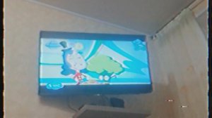 Викторина Зака Роже и день рождения Булы