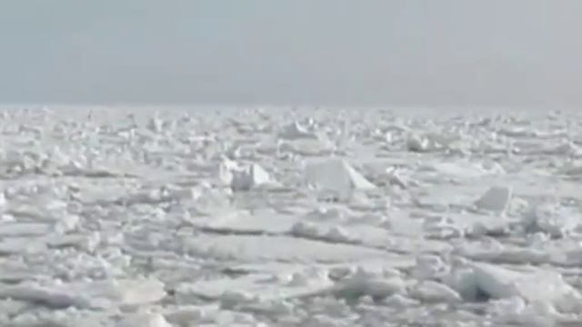У Сахалина спасают зажатых во льдах косаток смотреть онлайн