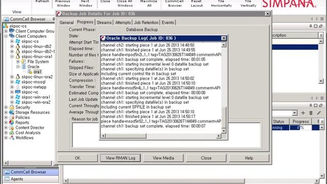 심파나 10 - ORACLE FULL 백업 смотреть онлайн