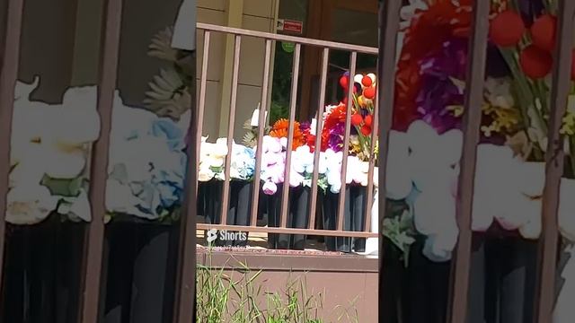 Салон цветов, цветы, магазин