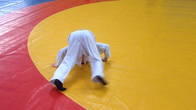 Единоборства от А до Я смотреть онлайн