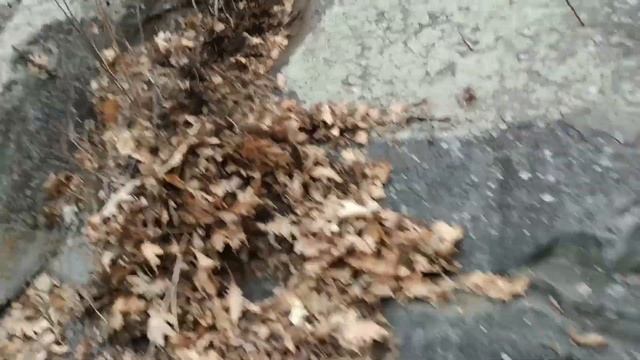 ВОСХОЖДЕНИЕ НА ВЕРБЛЮД. Было Опасно смотреть онлайн