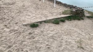 ТАЙНЫ ОЗЕРА ШЕНФЛИЗ КОП В КАЛИНИНГРАДЕ