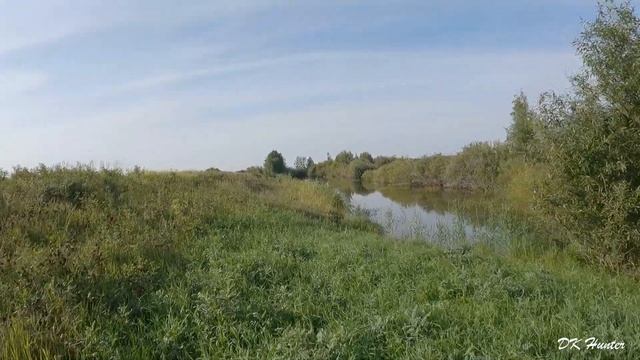 Открытие охоты 2023! Охота на утку! #охотанауток #охота2023