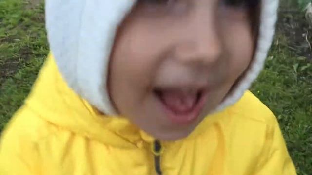 Даша Смирнова: Дача в Кстилово смотреть онлайн