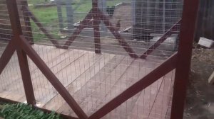 Вальер для собаки, своими руками ?2017