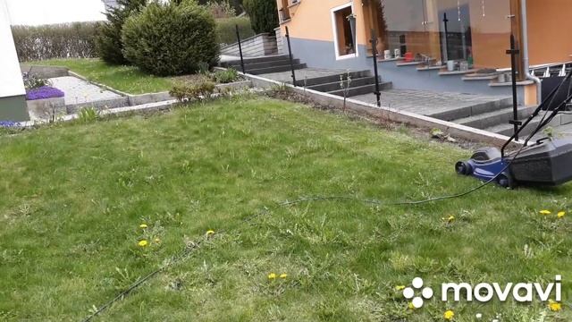 ВЛОГ. Крапива для волос|Моторчик на озере| косим траву| мутация орхидеи| родились птенчики . смотреть онлайн