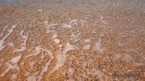 Шум Моря.10 часов!