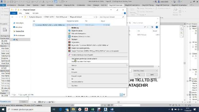 Video02 Magicad Dataset Yükleme смотреть онлайн