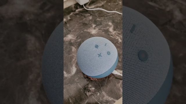 Alexa not connecting to wifi network | Amazon alexa echo dot internet connection problem fix смотреть онлайн