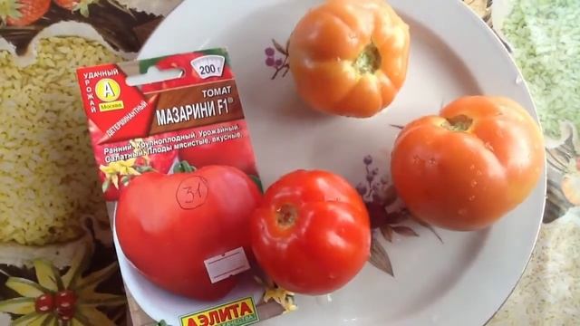 Томат "МАЗАРИНИ F1". Дегустация ! смотреть онлайн