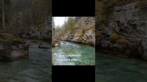 Белая берёза 💖🔥❤️