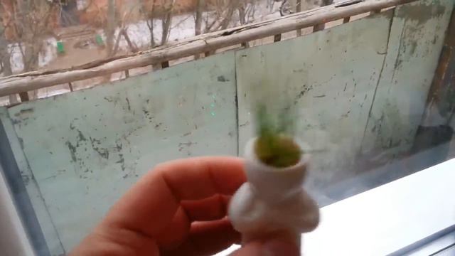 Розыгрыш призов!!!!! Поздравляю Победителя!!!!!