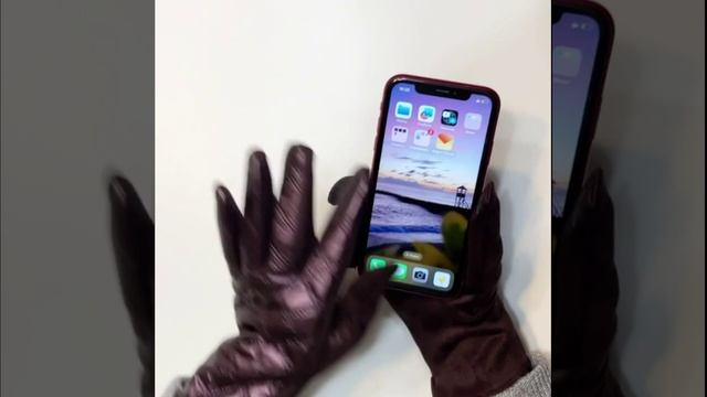 JDF16-13 FABRETTI Перчатки жен. 100%полиэстер,90%полиэстр/10%эластан