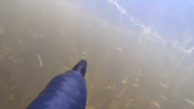 Подводная охота. Некоторые моменты лета 2017. смотреть онлайн