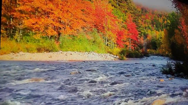 Пророческое Слово- РОЖДЕСТВА ВОЗВЫШЕНИЯ ХВАЛА! #viralvideo #сила #победа #слава #помазание #радость смотреть онлайн