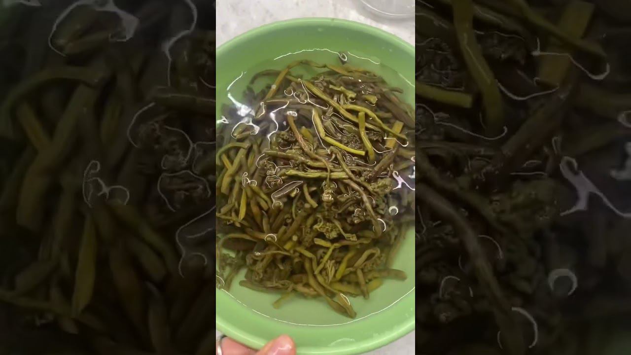 Olgahoodoleevaprosily