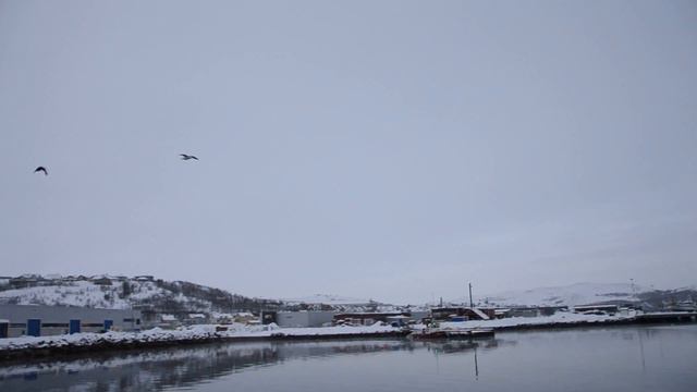 У Баренцево моря в Киркенесе. смотреть онлайн