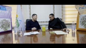 Что нужно делать перед посевом люцерны?