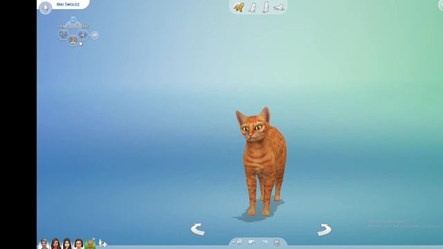 The Sims 4 / Симс 4- Der Kater Mikki / Кот Микки смотреть онлайн