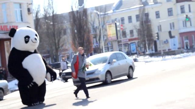 Пневмокостюм (надувной костюм меховой) Панда (Inflatable Fur Panda Costume Walking The Streets)