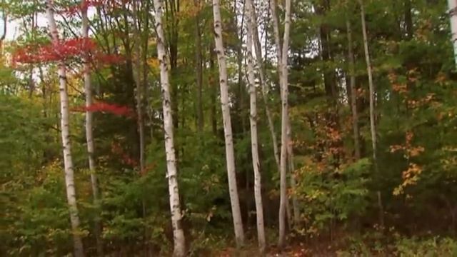 Светлана Малова - Облака смотреть онлайн