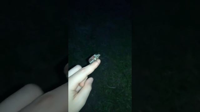 Майский жук, демонстрация полёта. смотреть онлайн