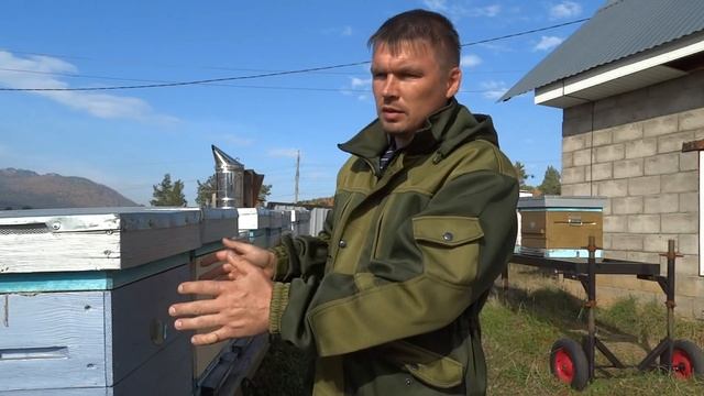 РЕЦЕПТ 100% зимовки!!! Без сборки гнезд. смотреть онлайн