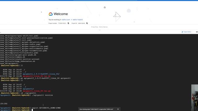 Install Apigee Hybrid (1.8.0) on EKS смотреть онлайн