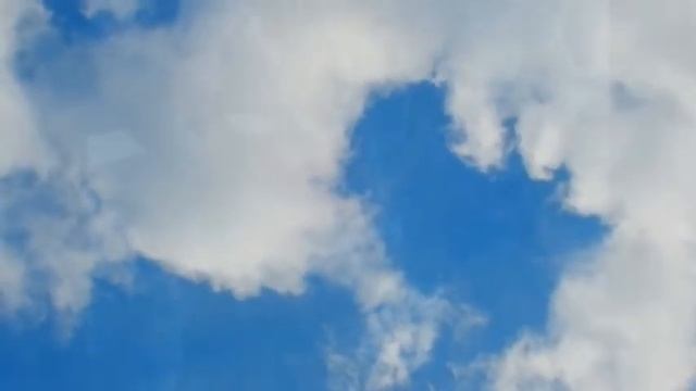 Для Петербурга от Тореза смотреть онлайн